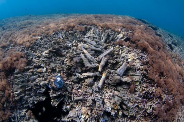 Fish bombed, corals destroyed Kata Malaysia